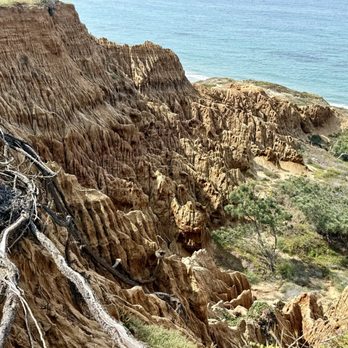 Torrey Pines State Reserve - Parks Near Me - La Jolla, California
