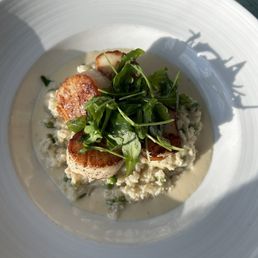 Scallops