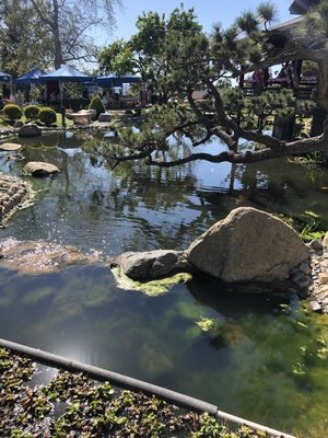 The Shoseian Whispering Pine Japanese Tea House by null