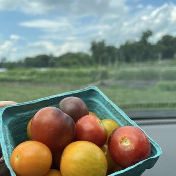 Titusville Farm - Yum - Farms Near Me - Poughkeepsie, New York Titusville Farm - Yum - Farms Near Me - Poughkeepsie, New York
