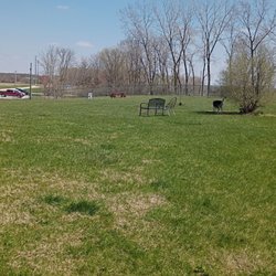 Rotary Dog Park - Far back corner looking towards front gate
