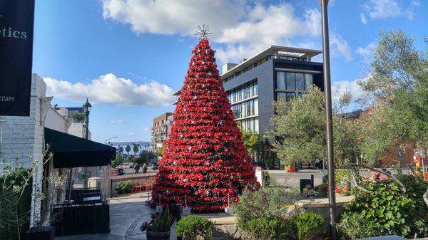 Piazza Basilone by null