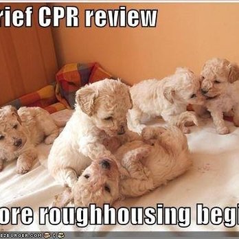 Snappy CPR - First Aid Classes Near Me - Mesa, Arizona Snappy CPR - First Aid Classes Near Me - Mesa, Arizona