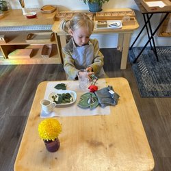 Montessori Community School