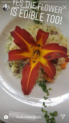 Café Botanico by null