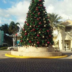 Dania Beach Paul DeMaio Library - Ready for the holidays