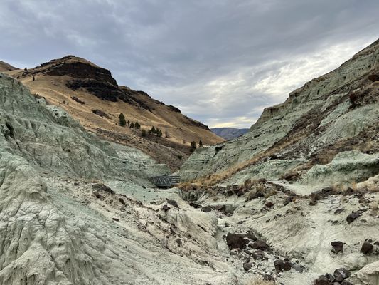 John Day Fossil Beds National Monument by null