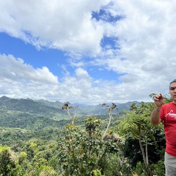 Sandra Farms - Coffee & Tea Near Me - Adjuntas, Puerto Rico
