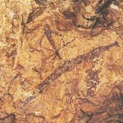 Abrigo de El Cerrao - Pinturas rupestres de El Cerrao (Arquero)