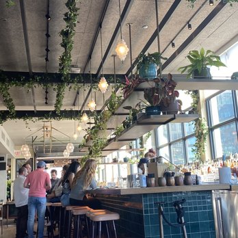 Cabra - Bar and beautiful greenery - Peruvian Near Me - Chicago, Illinois