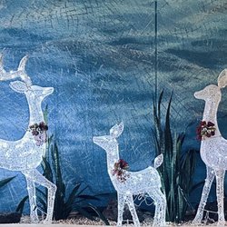 Kukui Grove Center - reindeer family... Kukui Grove Christmas  2023