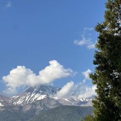 Lake Siskiyou - View on the way out