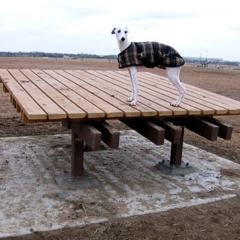Chapin Dog Park - Shade platforms abound. - Dog Parks Near Me - Wichita, Kansas Chapin Dog Park - Shade platforms abound. - Dog Parks Near Me - Wichita, Kansas