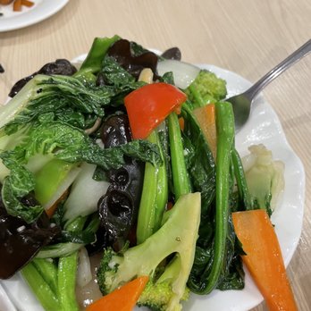 Fancy Kitchen - Chinese Near Me - Mississauga, Ontario Fancy Kitchen - Chinese Near Me - Mississauga, Ontario