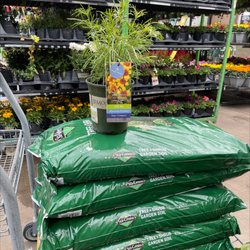 Lowe's Home Improvement