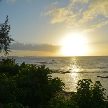 Voya Bird Travel - Travel Agents Near Me Voya Bird Travel - Travel Agents Near Me