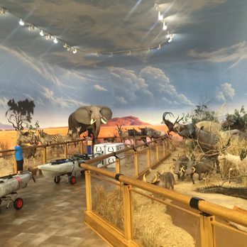 Cabela's - Outdoor Gear Near Me - Triadelphia, West Virginia