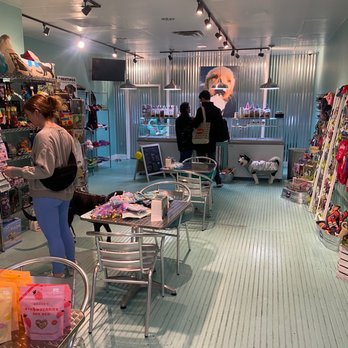 Salty Paws - Love the space. When one dog got ice cream, the owner asked "floor or table?" - Pet Stores Near Me - Philadelphia, Pennsylvania