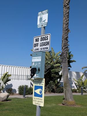 Alamitos Park by null