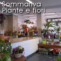 Sommariva / Giorgio EC