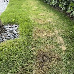 Florida Elite Lawn Care & Mobile Notary