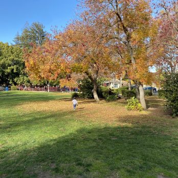 Bowden Park - Lovely field - Parks Near Me - Palo Alto, California Bowden Park - Lovely field - Parks Near Me - Palo Alto, California