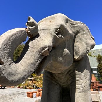 The Staghorn Garden - Elephant statue - Nurseries & Gardening Near Me - Santa Monica, California The Staghorn Garden - Elephant statue - Nurseries & Gardening Near Me - Santa Monica, California