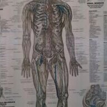 Woolverton Chiropractic - Chiropractors Near Me - Richardson, Texas Woolverton Chiropractic - Chiropractors Near Me - Richardson, Texas