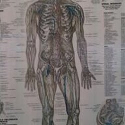 Woolverton Chiropractic