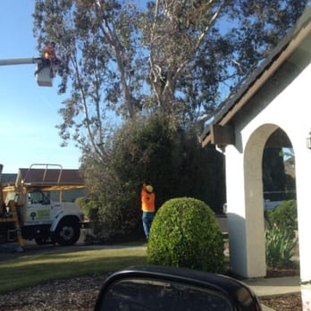 Simply Trees - Tree Services Near Me - Manteca, California
