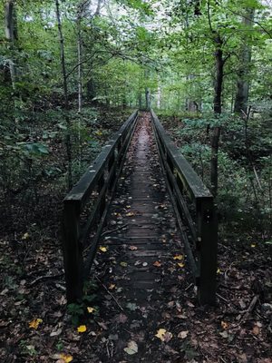 Brandywine Creek State Park by null