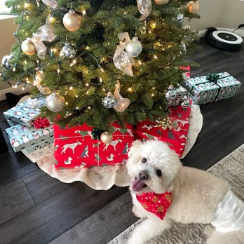 Barkhouse - Fresh after a bath (no hair cut) - Pet Groomers Near Me - San Diego, California