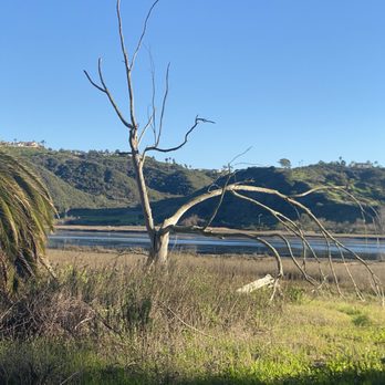 Batiquitos Lagoon Foundation - Community Service/Non-Profit Near Me - Carlsbad, California Batiquitos Lagoon Foundation - Community Service/Non-Profit Near Me - Carlsbad, California
