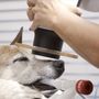Photo of Veterinary Dental Center of Atlanta
