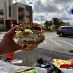 Sandwich Monkey