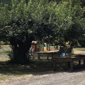 Pumpkin Patch - Jim Dandy Farm - They have some tables around to sit and enjoy. - Farmers Market Near Me - Banks, Oregon
