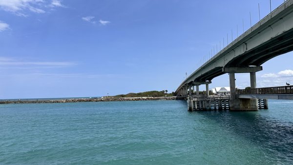 Sebastian Inlet State Park by null