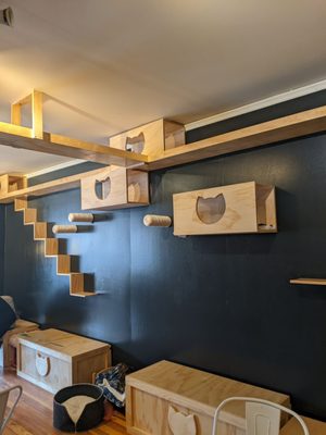 Denver Cat Company by null