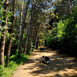 Bruce Pit - Peace and quiet!