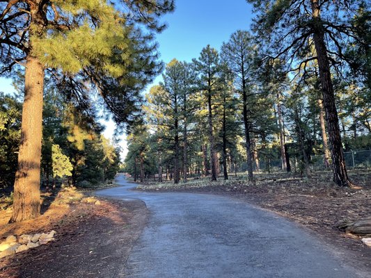 Trailer Village RV Park by null