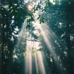 One Light of Love