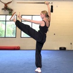 O-Mei Wushu - Taijijian