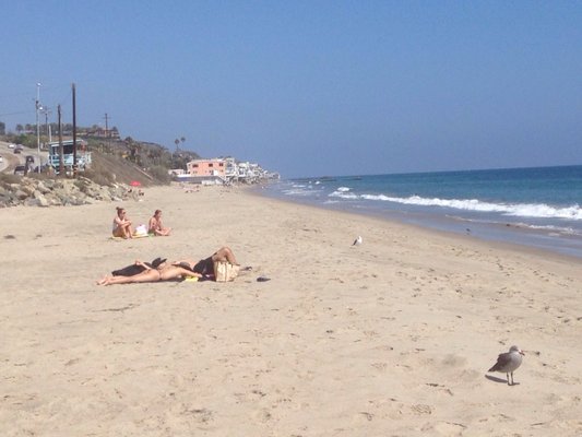 Dan Blocker Beach Malibu by null