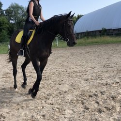 Equestrian Arts