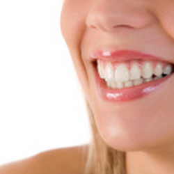 S. Scott Batterton, DDS