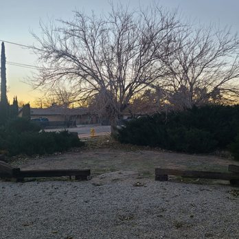 Mason's Treescape - Before - Tree Services Near Me - Hesperia, California Mason's Treescape - Before - Tree Services Near Me - Hesperia, California