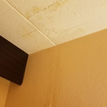Best Western Plus Poconos Hotel - Leaky ceiling in first room - Hotels Near Me - Tannersville, Pennsylvania Best Western Plus Poconos Hotel - Leaky ceiling in first room - Hotels Near Me - Tannersville, Pennsylvania