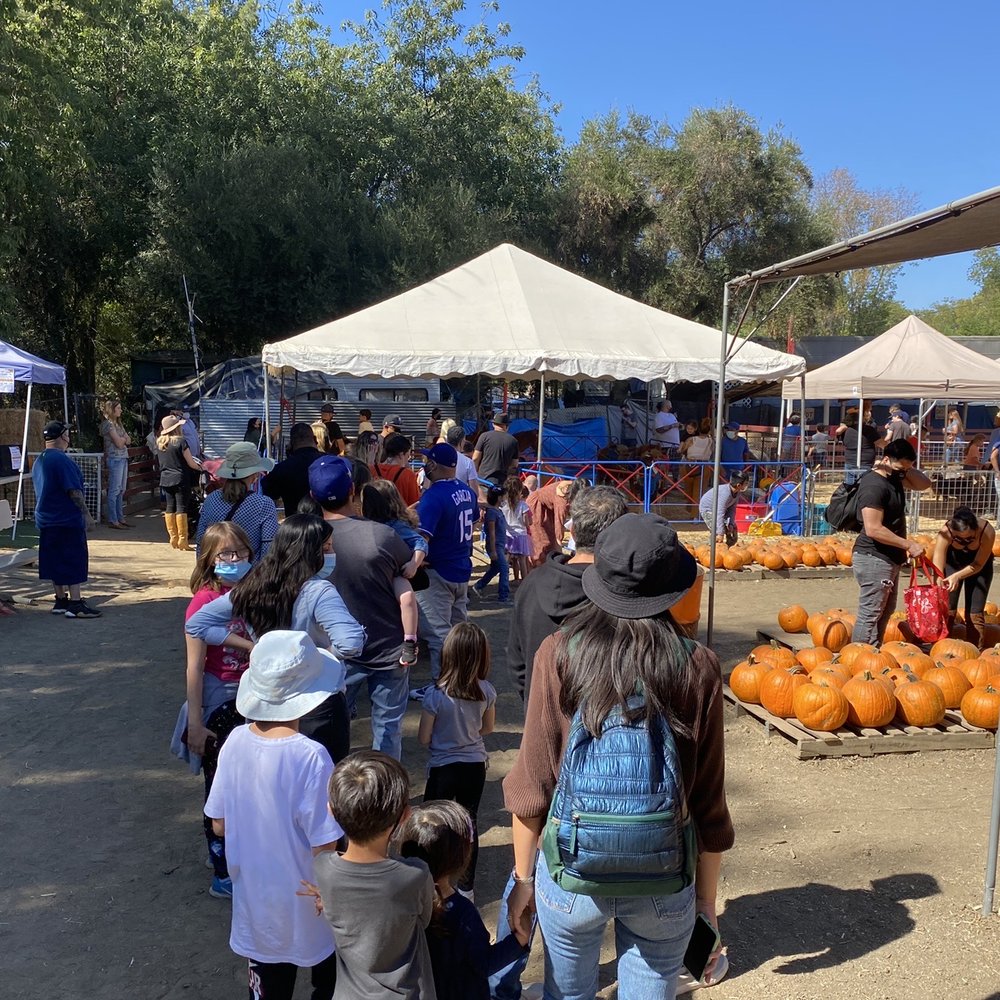 Tapia Bros Farm - Lines! - Fruits & Veggies Near Me - Encino, California