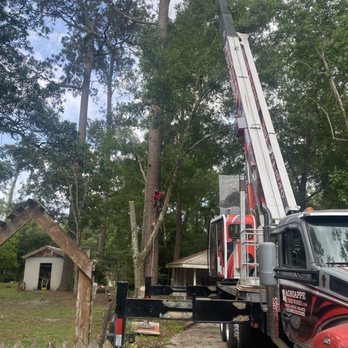 Lagniappe Tree Works - How real tree companies remove trees - Tree Services Near Me - Bush, Louisiana Lagniappe Tree Works - How real tree companies remove trees - Tree Services Near Me - Bush, Louisiana