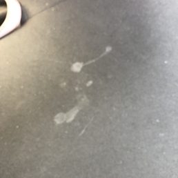 Semen stains in driver's car